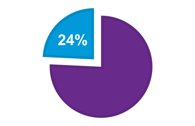 24% camembert 24% camembert