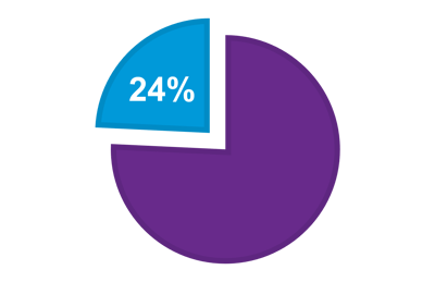 24% camembert